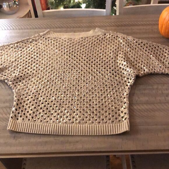 Sparkle ❇️ and Shine ✨ in this Sequins Sweater. Neutral All Season Fall 2 Cruise - Picture 13 of 16